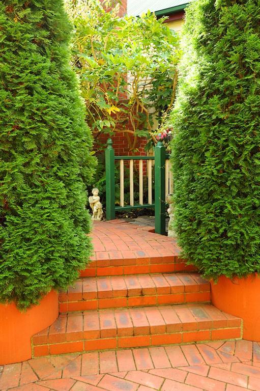 Mary Cards Coach House Bed & Breakfast Olinda Ruang foto